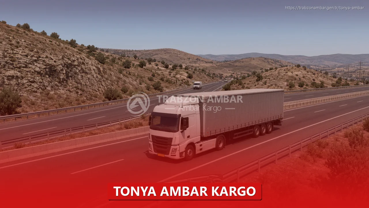 Tonya Ambar Kargo